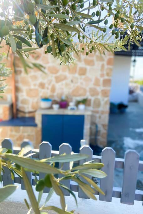 Villa Giasemi Aegina, Modern House Extérieur photo