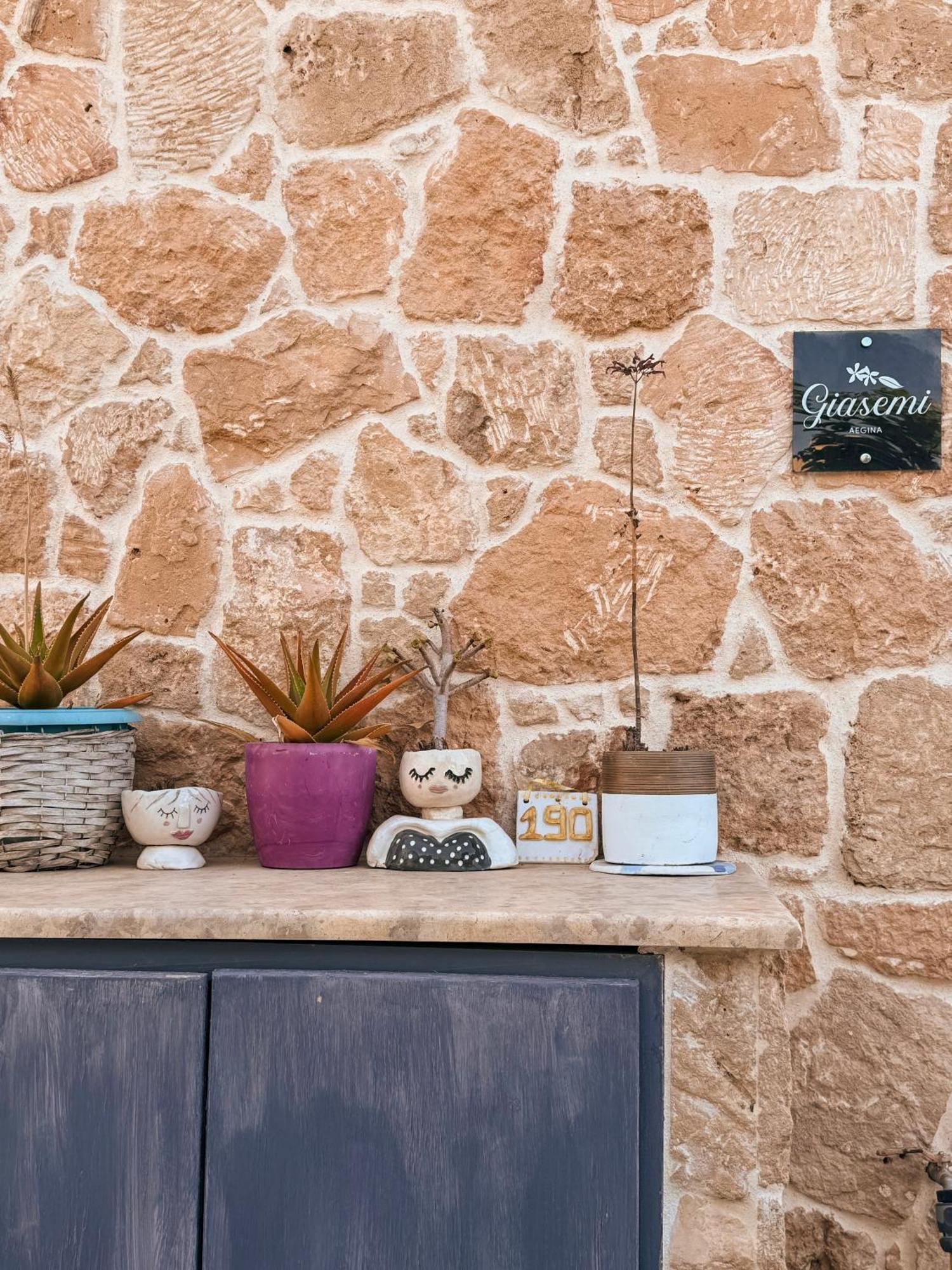 Villa Giasemi Aegina, Modern House Extérieur photo